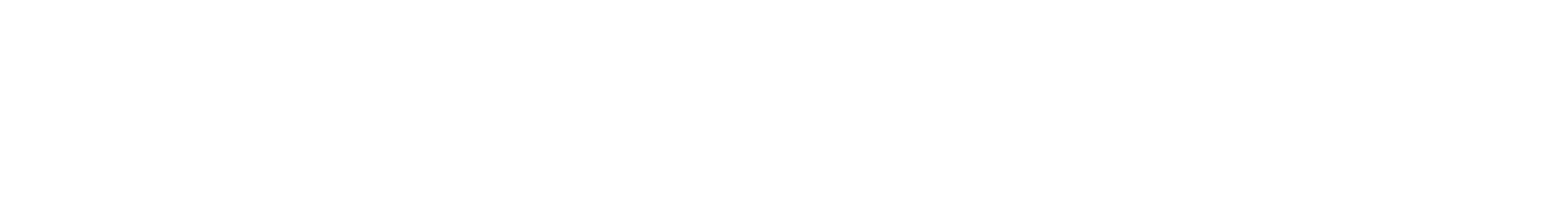 Precision AI Systems